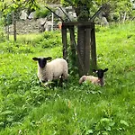 Les Biches Du Saut Des Cuves شاليه
