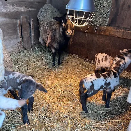Les Biches Du Saut Des Cuves Chalet