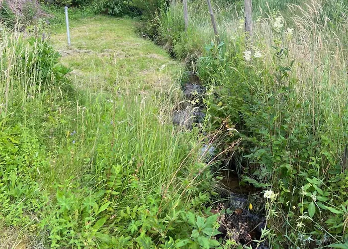 Horská chata Les Biches Du Saut Des Cuves Xonrupt-Longemer