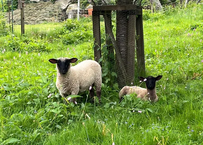 Les Biches Du Saut Des Cuves Chalet