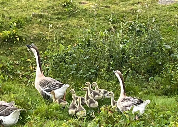 Les Biches Du Saut Des Cuves Chalet *